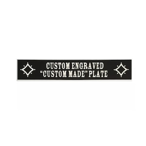 Custom Engraved Guitar Plate &quot;CUSTOM MADE&quot; plate for ES-335, 355 with Bigbsy