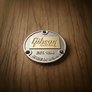 Placa trasera para interruptor de palanca estilo Custom Shop compatible con Gibson Les Paul, plata y oro