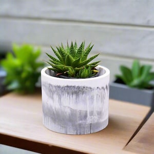 Round concrete planter modern home decor planter for succulent herbs small plants handcrafted concrete industrial Chic colourful concrete