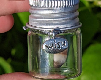 Miniature Wishing Stone in Bottle with Charm, Wishing Stone, Striped Rock, Lucky Rock, Banded Rock, Beach Rock, Harmony, Unique, Gift, Wish