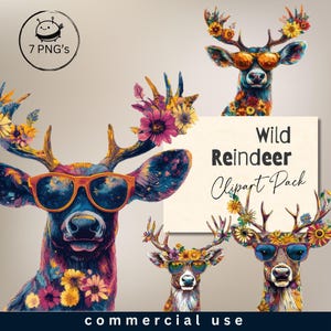 Wild Reindeer Clipart Pack, Transparent PNG, Digital Art, Cards, Classroom Wall Art, Kids and Books,  Illustrations