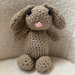 Charlie the Bunny