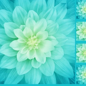May include: A close-up of a teal blue and green flower with a spiral pattern. The flower is made up of many petals that are layered on top of each other.
