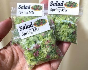 SALAD - Spring Mix with Romaine Radicchio and Iceberg Lettuces - Dollhouse Miniatures Food Supplies