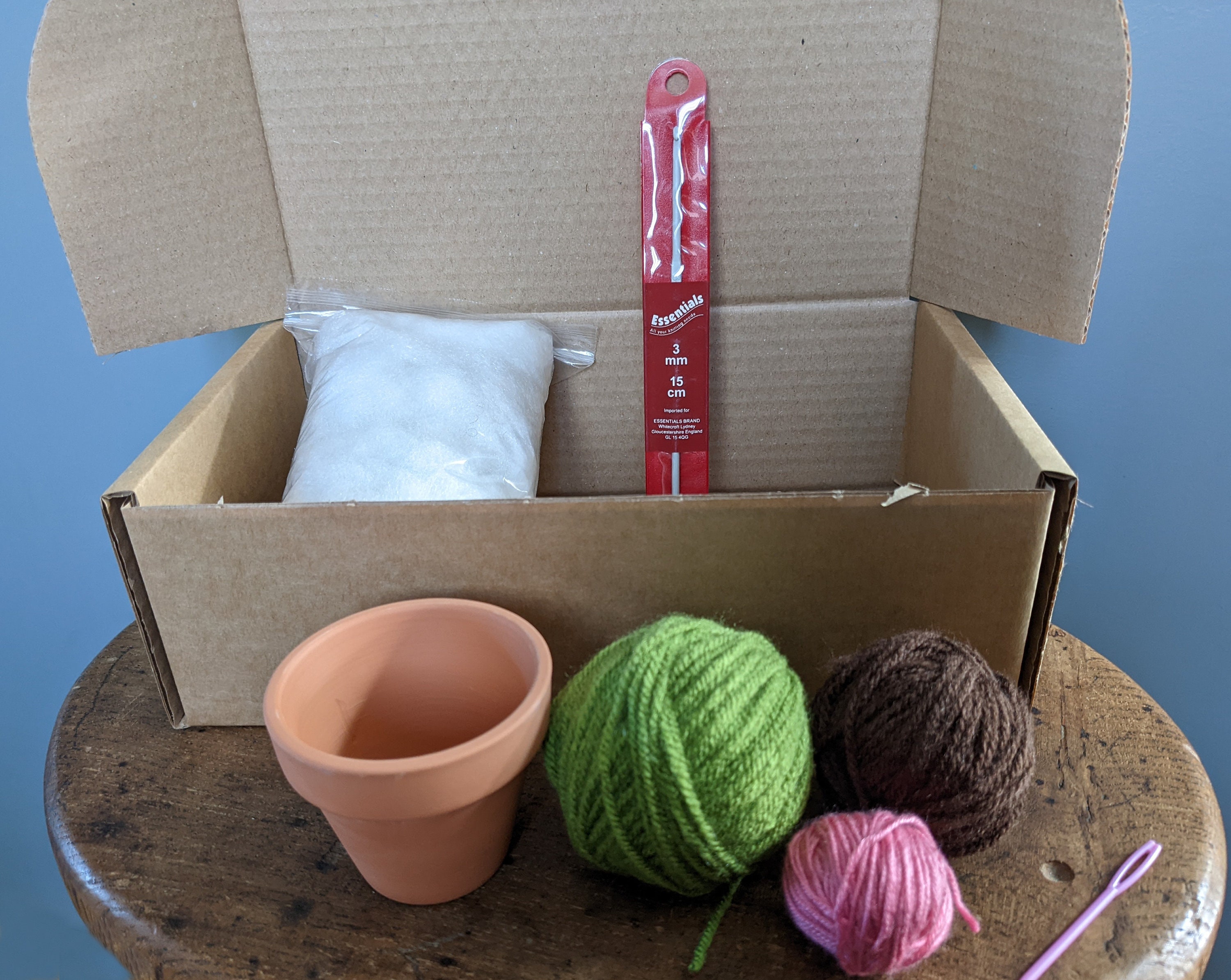 Crochet Cactus Kit DIY Make Your Own With Terracotta Pot - Etsy