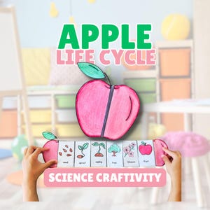 Kindergarten Preschool Learning Apple Life Cycle, Apple Tree, Montessori, Apple Worksheets, Apple Anatomy, Life Cycle of an Apple, Printable