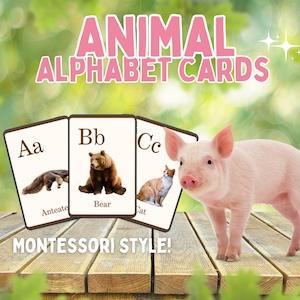 Tarjetas didácticas del alfabeto Montessori / Tarjetas didácticas Montessori para aprender a leer / Tarjetas didácticas sobre animales / Actividades Montessori / Reconocimiento de letras / Fonética