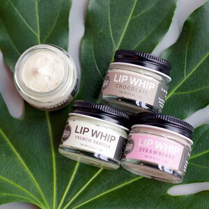Moisturizing Lip Whip Balm - Whipped, Vegan Lanolin, Handmade, Eco-Friendly