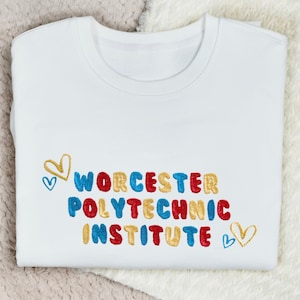 College Sweatshirt Personalized Embroidered Sweatshirt College Crewneck Colorful University Sweatshirt College Apparel Graduation Students