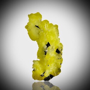 May include: A vibrant yellow sulfur crystal with dark inclusions. The mineral specimen has a rough, irregular shape and a slightly translucent appearance. The crystal is displayed against a gradient background, showcasing its natural beauty.