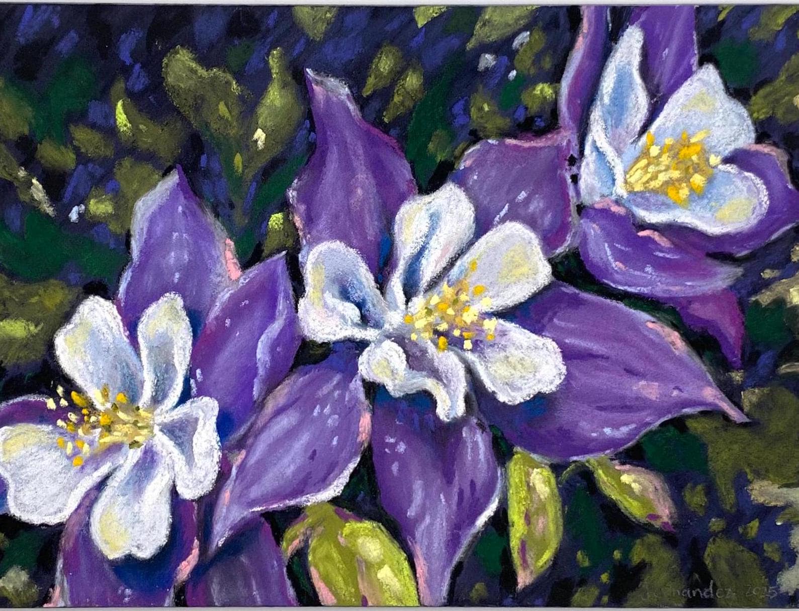 Original Colorado Columbine Soft Pastel Painting: Floral Art (5x7)