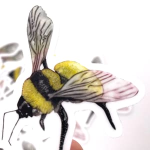 May include: A close-up of a yellow and black bumblebee sticker with translucent wings. The sticker has a detailed design and is perfect for adding a touch of nature to any surface.