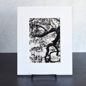 Black and White Tree Art Print