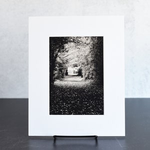 Black & White Wooded Path Art Print Wall Decor