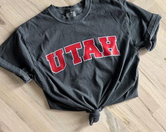 Comfort Colors STATE T-Shirt: Distressed Collegiate Style