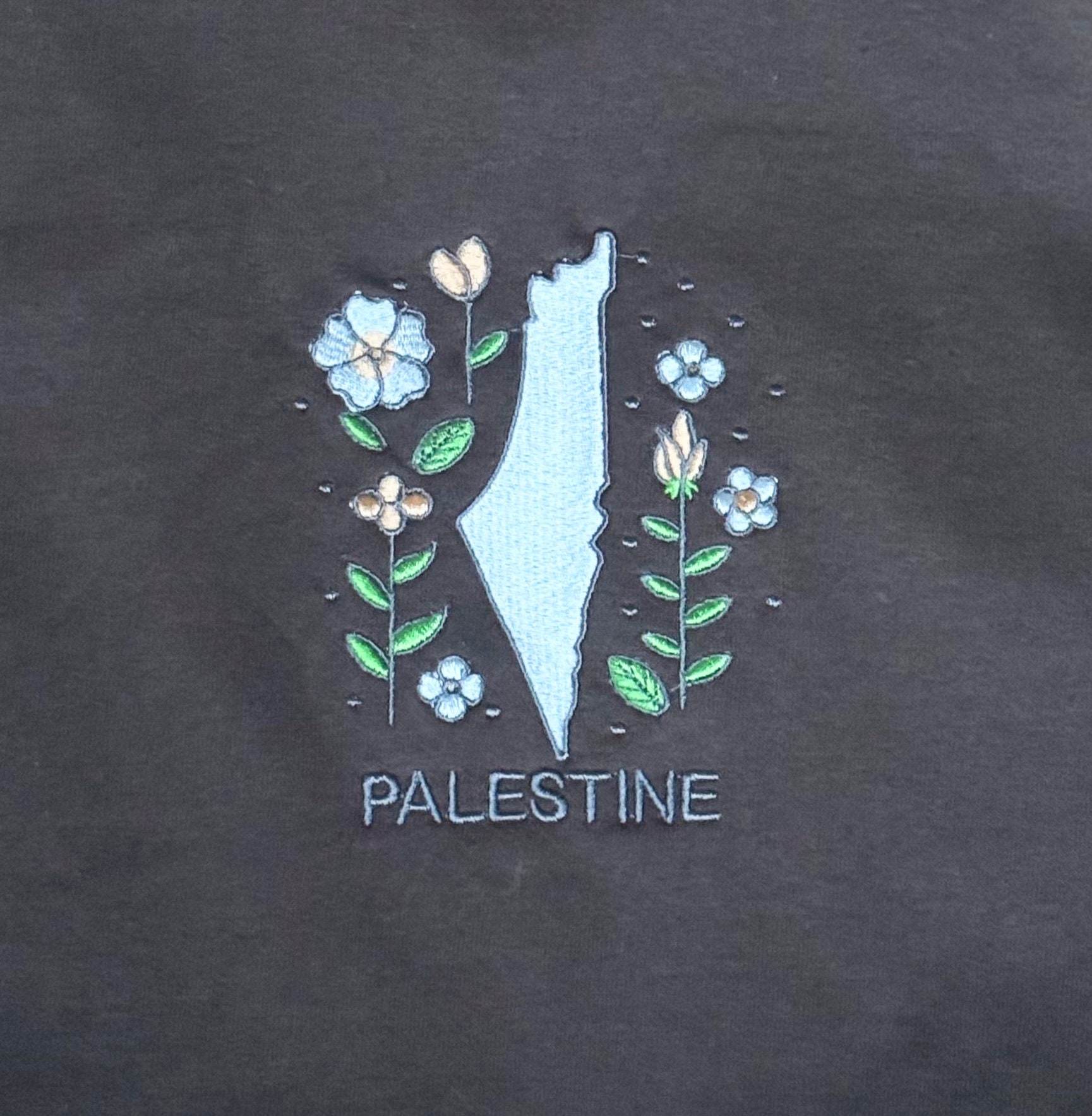 Palestine Collegiate Embroidered and Printed Premium Quality Boxy Tee main image 0