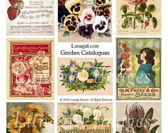 Vintage GARDEN CATALOGS digital collage sheet, Flowers Victorian images, ephemera printables, pansies strawberries Roses floral art DOWNLOAD