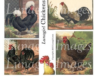 Vintage CHICKENS digital collage sheet, Victorian images roosters hens farm birds antique prints illustrations altered art ephemera DOWNLOAD