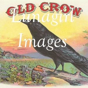 K&ouml;nnte beinhalten: Vintage Illustration eines schwarzen Raben auf einem Baumstamm, vor einer Sonnenuntergangslandschaft mit Haus und Zaun. Der Text "OLD CROW" ist rot, und "Lunagirl Images" ist wei&szlig;.