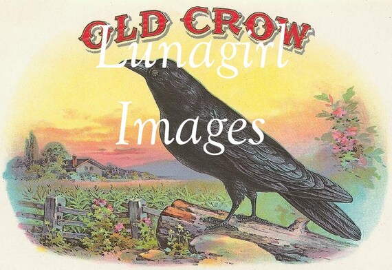 55 BIRDs vintage images DOWNLOAD Victorian pictures antique labels, crows bluebirds robins roosters peacock, printables digital art ephemera