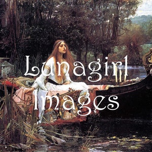 Pre-Raphaelite ART 300 images VICTORIAN paintings, Waterhouse, Rossetti, Millais, goddess women mythology fantasy, digital ephemera DOWNLOAD image 5