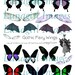 Gothic FAIRY WINGS digital collage sheet, printable ephemera Dark Faerie dragonfly butterfly bat wings altered art spooky Halloween DOWNLOAD