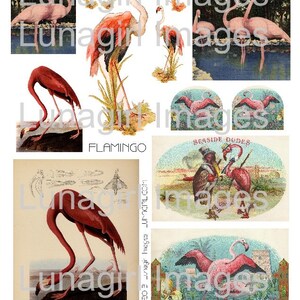 PINK FLAMINGOS digitale Collage Sheet, Vintage Postkarten Florida tropische Vögel, Sommer Urlaub verändert Kunst Ephemera Bilder Karten DOWNLOAD