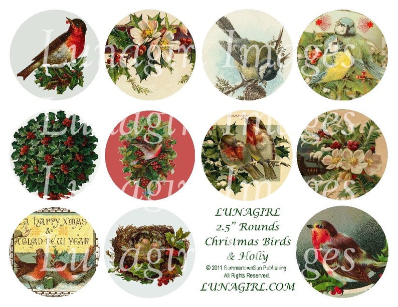 Victorian CHRISTMAS BIRDS digital collage sheet, 2.5 inch circles ATCoins mirrors, vintage images holly, woodland holidays ephemera DOWNLOAD image 1