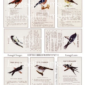 VINTAGE BIRDS digital collage sheet, Victorian cards with bird poetry printed text, antique Victorian woodland ephemera nature art, DOWNLOAD