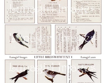 VINTAGE BIRDS digital collage sheet, Victorian cards with bird poetry printed text, antique Victorian woodland ephemera nature art, DOWNLOAD