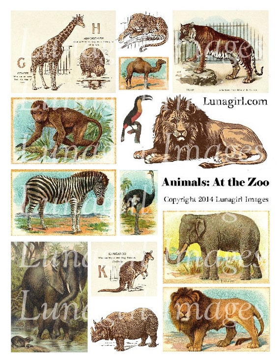 Vintage Animals ZOO Digital Collage Sheet Victorian Images Etsy