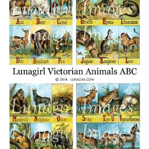 VICTORIAN ANIMALS ABC digital collage sheet, Vintage Art, Antique Alphabet Book, Wild Animals woodland zoo, illustrations, Ephemera Download