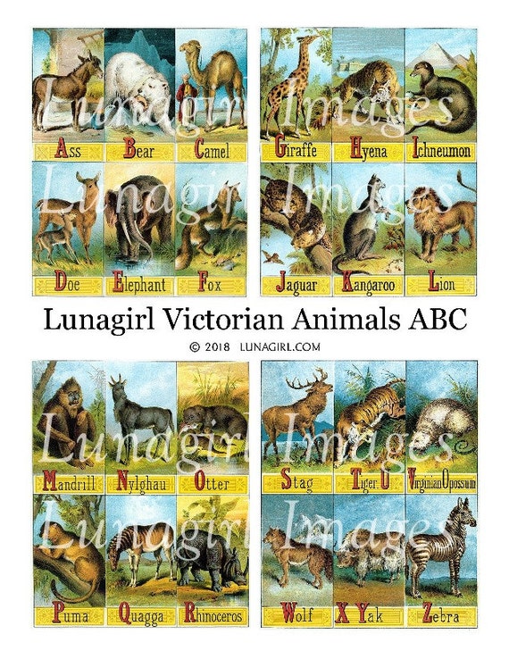 Vintage Victorian//Edwardian Illustrated Childrens ABC of Animals Nursery Prints