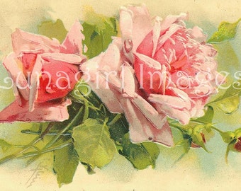 72 PINK ROSES images DOWNLOAD, Vintage roses flowers, Victorian Art Postcards, shabby floral cards scraps, Klein printables Digital Ephemera