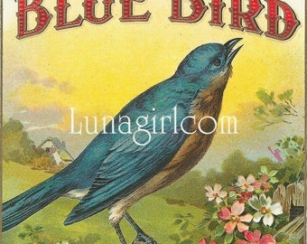 2500 VINTAGE LABELS DOWNLOAD Victorian Cigar Labels, vintage flowers birds animals men women, antique labels, steampunk art digital ephemera