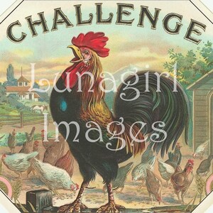 K&ouml;nnte beinhalten: Vintage Illustration mit einem kr&auml;henden Hahn mit rotem Kamm und gelbem Schnabel in einer Farm. Das Wort "CHALLENGE" steht oben. H&uuml;hner sind im Vordergrund, mit einer Scheune und Landschaft im Hintergrund.