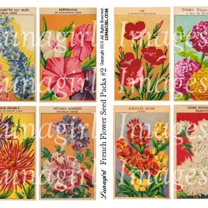 Französisch FLOWERS Samen Packe digitale Collage Blatt, Vintage Bilder Blumenkunst, schäbige Hütte viktorianischen Garten, verändert Papier Ephemera DOWNLOAD