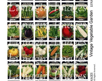 VINTAGE GARDEN digital collage sheet, pendants tiles 1x1.5, retro seed packs, vintage kitchen food art vegetables, jewelry ephemera DOWNLOAD