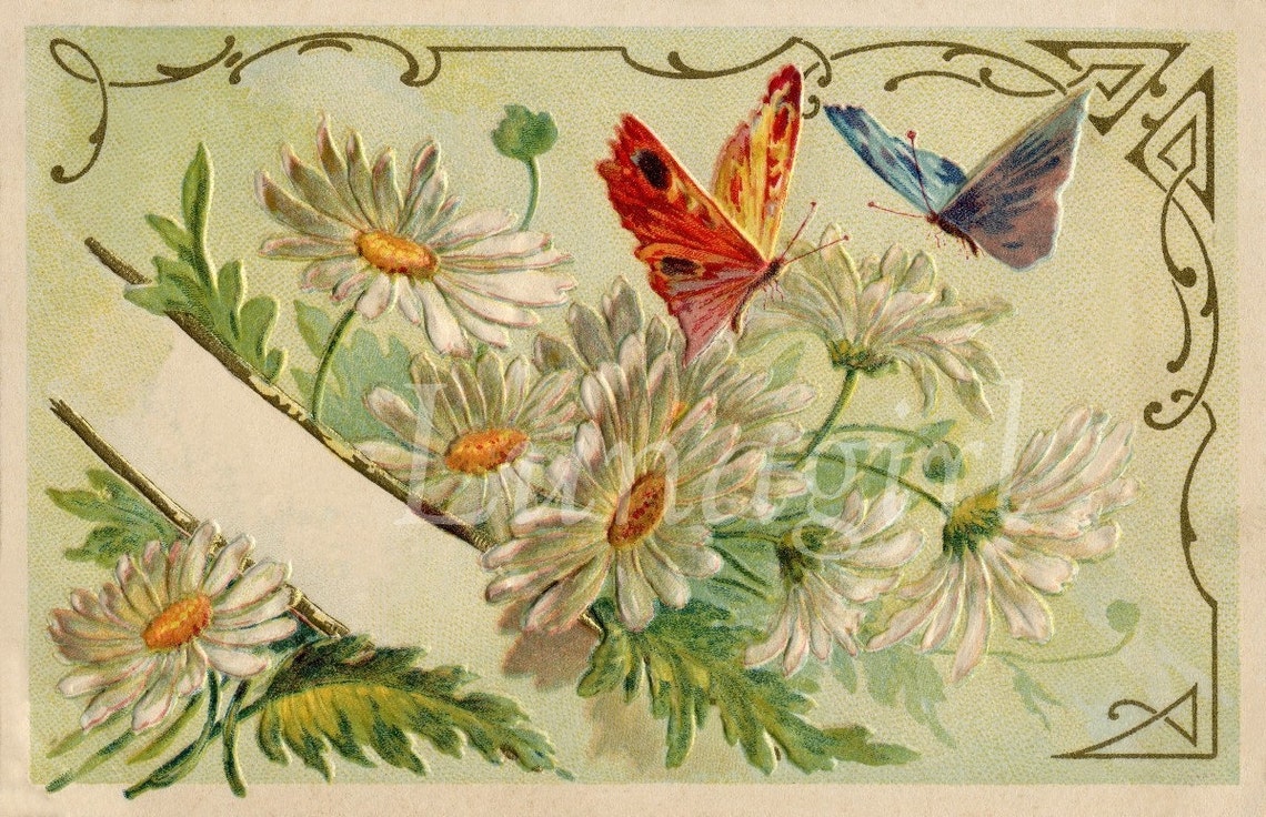 250 BUTTERFLIES Vintage Images Victorian cards Photos French Etsy