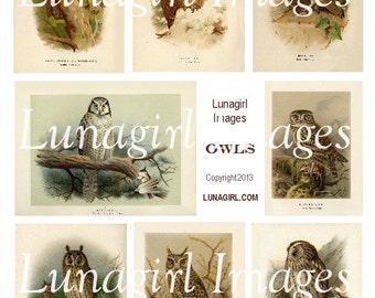 Hoja de collage digital de BÚHOS, impresiones victorianas de aves, imágenes vintage, imágenes de bosques otoñales de Halloween, arte alterado de efímeras antiguas DESCARGAR