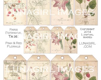 PARIS BOTANICAL TAGS digital collage sheet, vintage images, pink flowers red fruit floral Victorian art, shabby ephemera printables Download