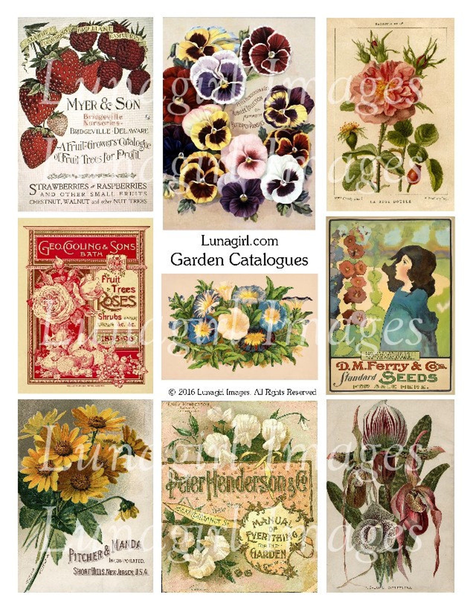 Thesis topics catalog picture