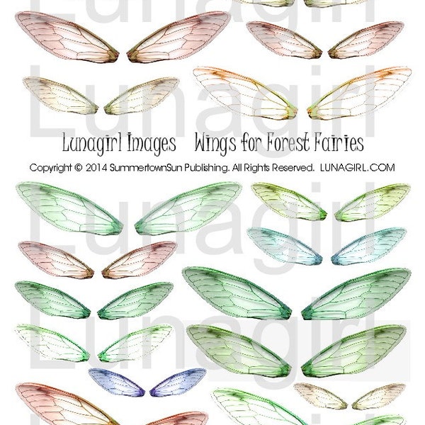 FAIRY WINGS digital collage sheet dragonfly wings, altered art fairies faerie, green orange brown woodland forest colors, ephemera DOWNLOAD