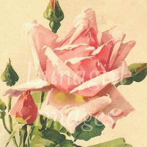 FLORES VICTORIANAS, 900 imágenes digitales, Rosas Vintage, arte de tarjetas florales, Hojas Frutas pensamientos violetas margaritas orquídeas, arte efímero DESCARGAR