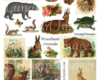 May include: A collage of vintage woodland animal illustrations. Includes a beaver, deer, bear, squirrel, rabbit, owl, turtle, butterflies, and foxes. The text "Woodland Animals" is displayed in the center.