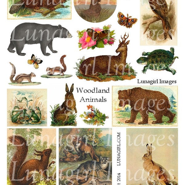 Vintage ANIMALS, WOODLAND digital collage sheet, Forest Bears Rabbits Squirrels Deer Beaver, Victorian images, altered art ephemera DOWNLOAD