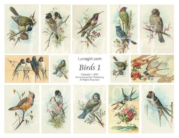 VICTORIAN BIRDS digital collage sheet, Vintage Images Woodland Birds Art  cards illustrations, antique garden Spring nature Ephemera DOWNLOAD