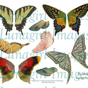 Larger BUTTERFLY WINGS digital collage sheet Fly Away Home, Vintage Butterflies, altered art fairies fairy wings printable ephemera DOWNLOAD