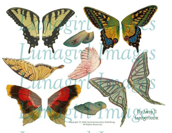 Larger BUTTERFLY WINGS Digital Collage Sheet Fly Away Home - Etsy