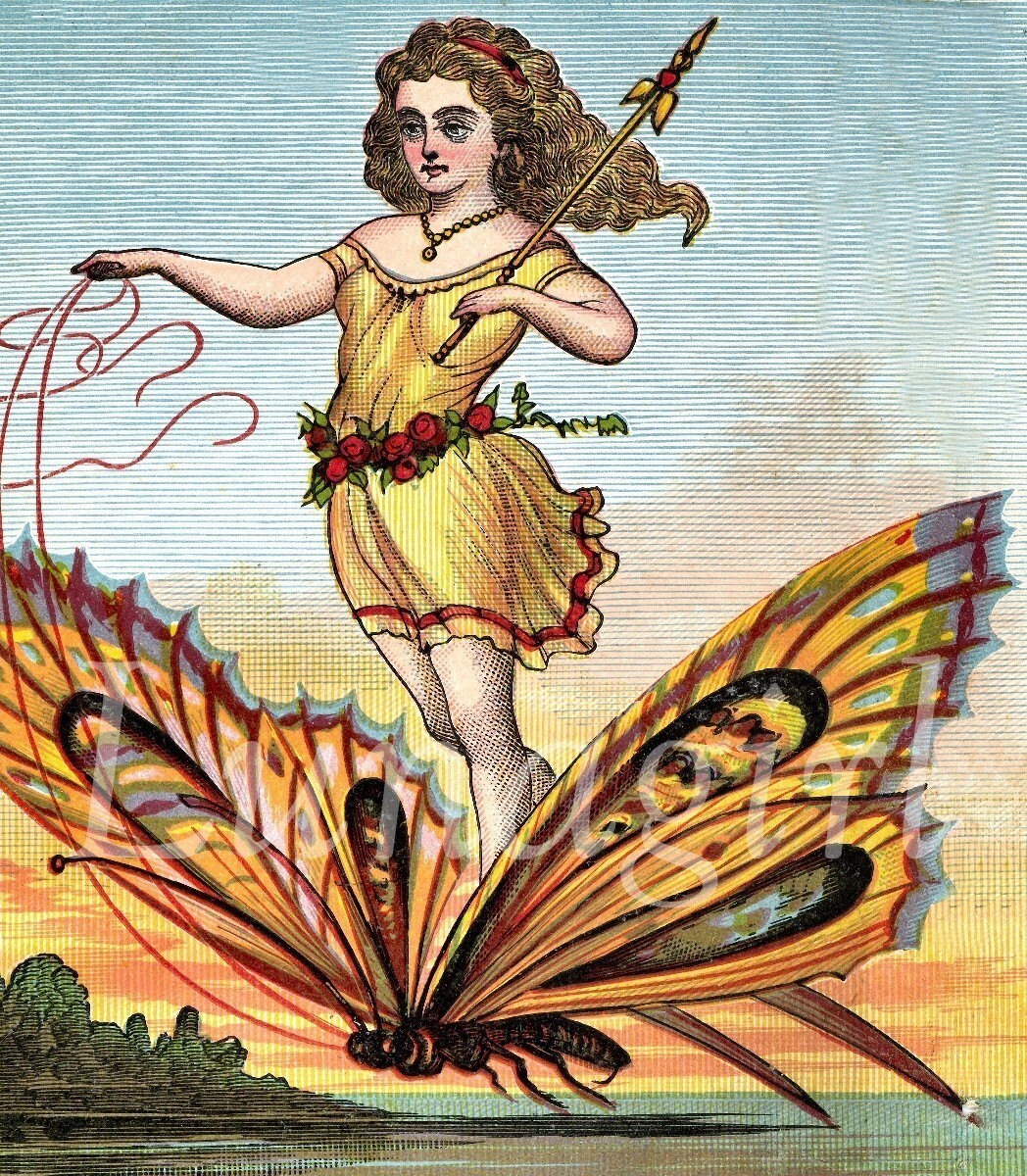 250 BUTTERFLIES Vintage Images Victorian Cards Photos French Etsy